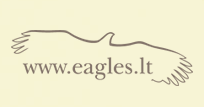 logo-eagles-it