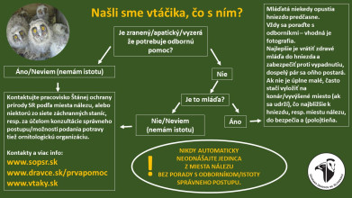 infografika_prva_pomoc.jpg