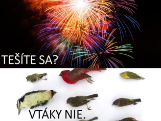 Silvester 2.jpg