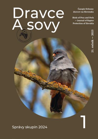 dravce sovy 1 2023 nahlad