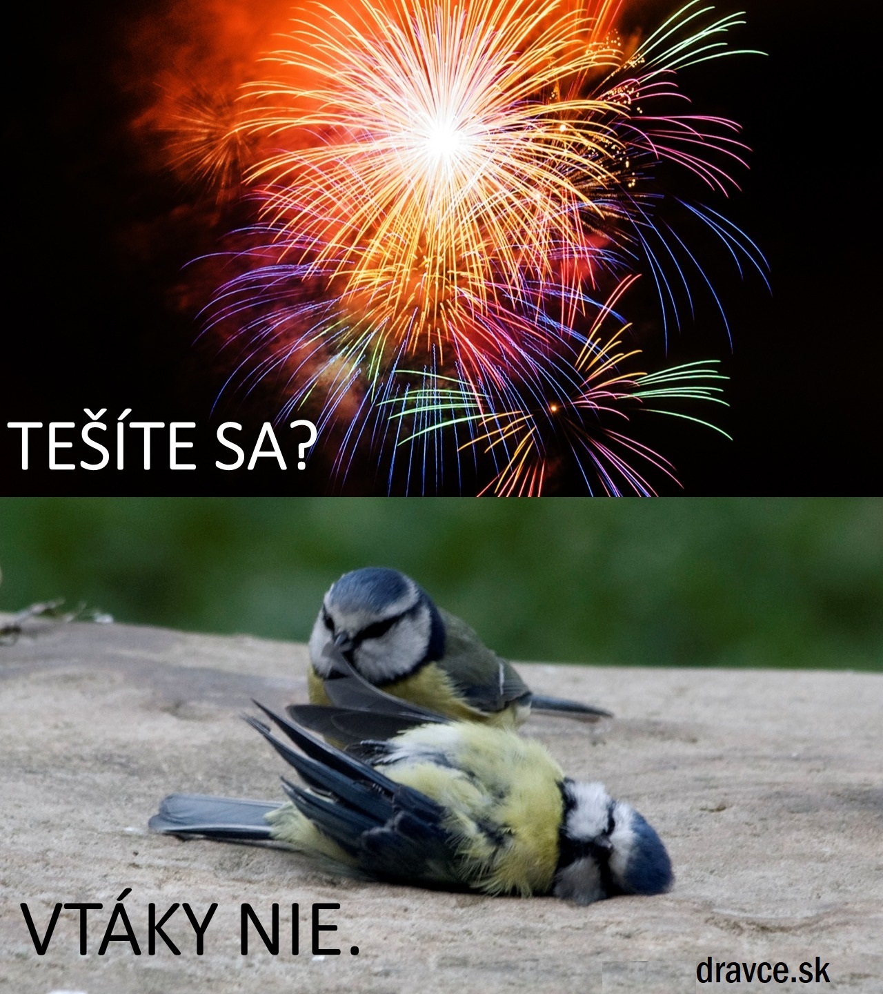 Vtaky a ohnostroje