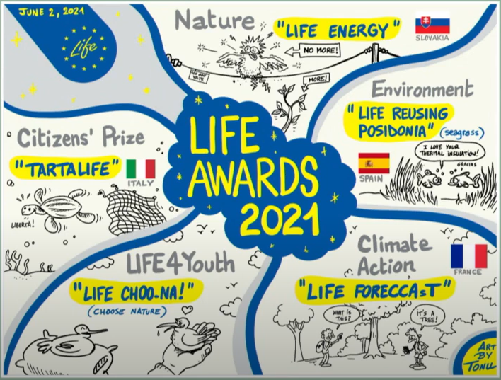 Life Awards 2021 picture with winning projects graphics