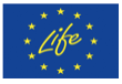 logo1-life