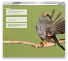 02-falcoproject